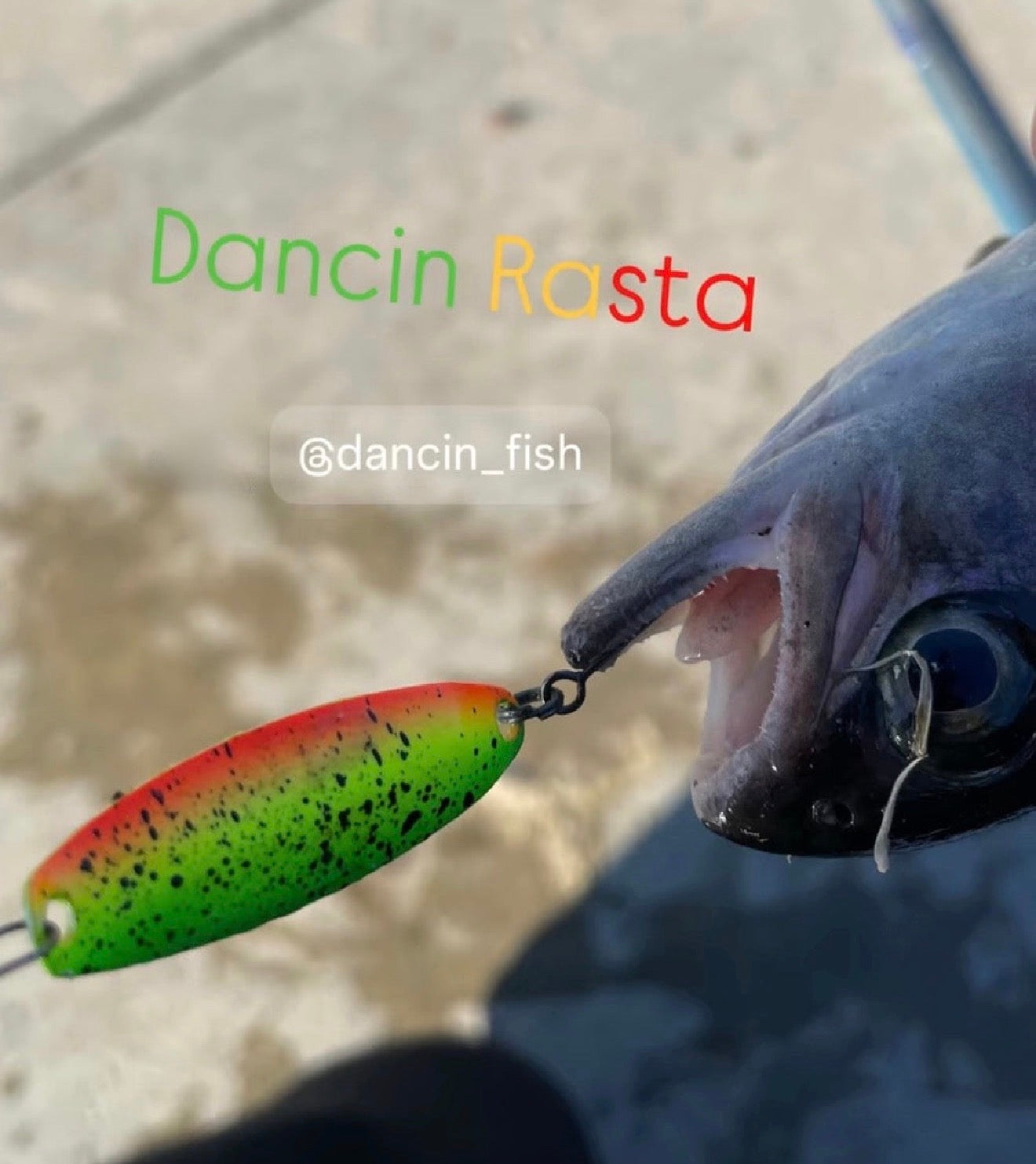 3g Dancin Rasta